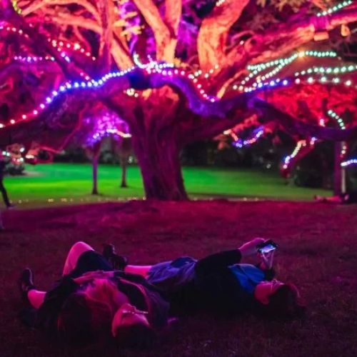 Hotels with Garden Sound & Light Events: Immersive Outdoor Experiences