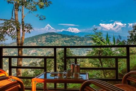 Best Hotels for Wildlife & Birdwatching Experiences in Stunning Locations