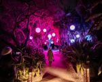 Best Hotels That Host Immersive Light & Art Events