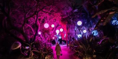Best Hotels That Host Immersive Light & Art Events