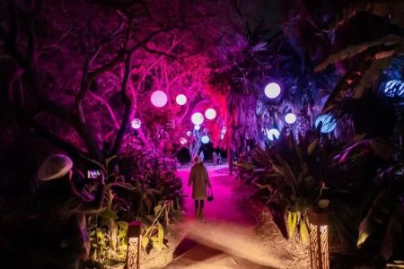 Best Hotels That Host Immersive Light & Art Events
