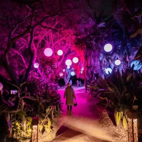 Best Hotels That Host Immersive Light & Art Events
