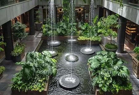 How Hotels Are Using Biophilic Design to Enhance Guest Experience