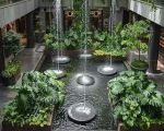 How Hotels Are Using Biophilic Design to Enhance Guest Experience
