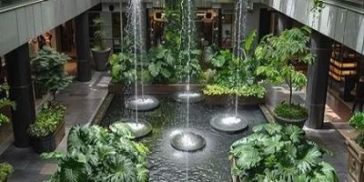 How Hotels Are Using Biophilic Design to Enhance Guest Experience