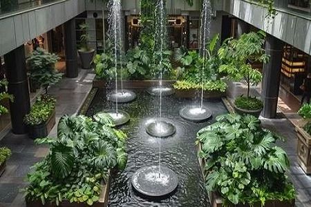 How Hotels Are Using Biophilic Design to Enhance Guest Experience