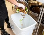 How Hotels Are Managing Food Waste: Sustainable Practices and Solutions
