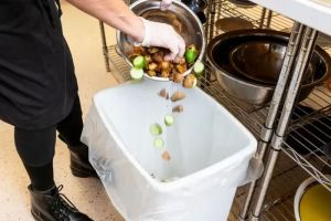 How Hotels Are Managing Food Waste: Sustainable Practices and Solutions