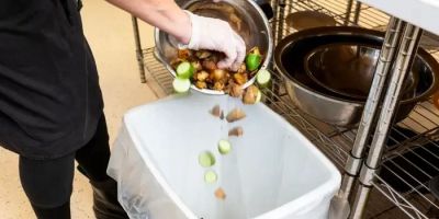 How Hotels Are Managing Food Waste: Sustainable Practices and Solutions
