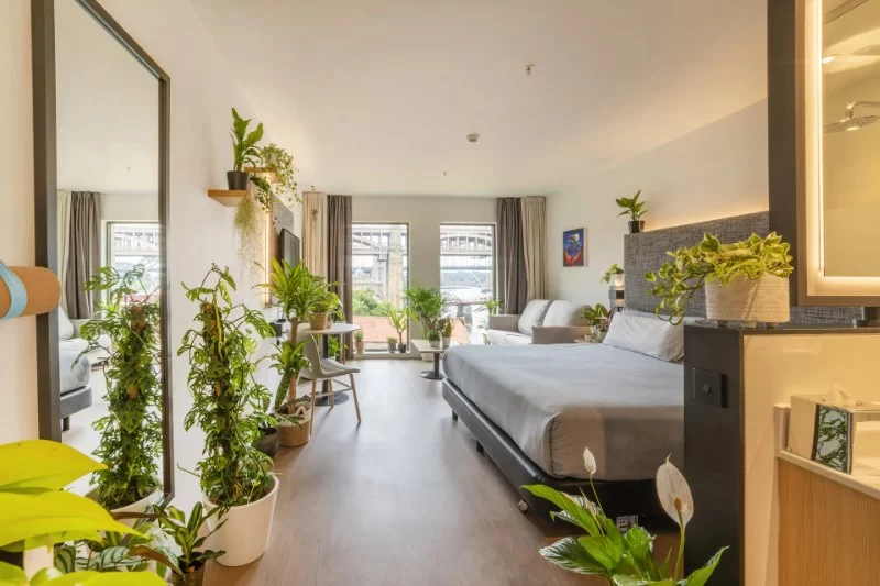 Hotels with In-Room Botanical Themes for Nature-Inspired Travel