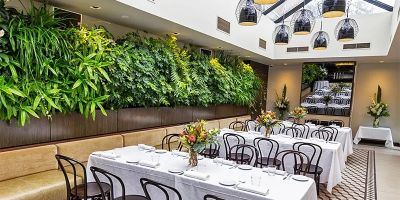 Hotels with In-Room Botanical Themes: Discover Nature Indoors