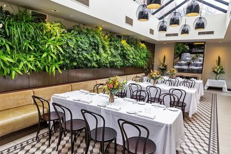 Hotels with In-Room Botanical Themes: Discover Nature Indoors