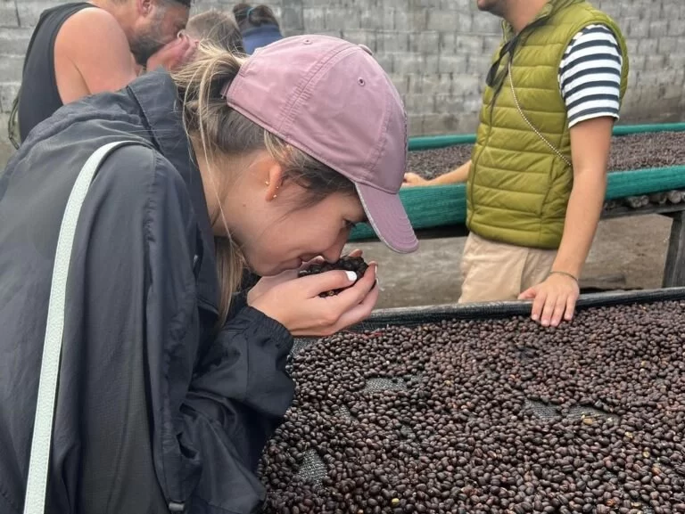 Best Hotels Offering Local Coffee Tasting Tours: Discover Unique Coffee Experiences