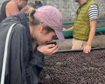 Best Hotels Offering Local Coffee Tasting Tours: Discover Unique Coffee Experiences