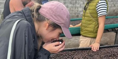 Best Hotels Offering Local Coffee Tasting Tours: Discover Unique Coffee Experiences