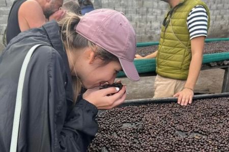 Best Hotels Offering Local Coffee Tasting Tours: Discover Unique Coffee Experiences