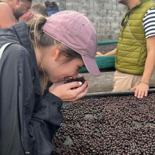 Best Hotels Offering Local Coffee Tasting Tours: Discover Unique Coffee Experiences
