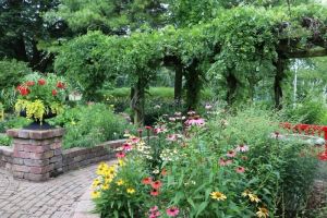 Hotels That Offer In-Room Herb Gardens: A Unique Experience for Travelers