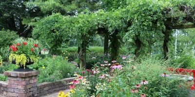 Hotels That Offer In-Room Herb Gardens: A Unique Experience for Travelers