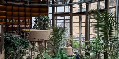 Hotels with In-Room Botanical Themes: A Perfect Escape into Nature