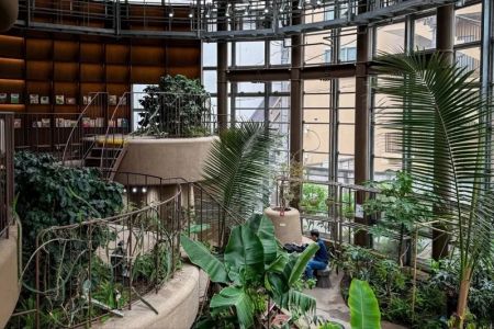 Hotels with In-Room Botanical Themes: A Perfect Escape into Nature