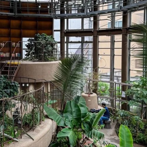 Hotels with In-Room Botanical Themes: A Perfect Escape into Nature