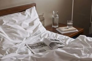 Hotels That Offer Local Theater & Performance Nights for Unforgettable Stays